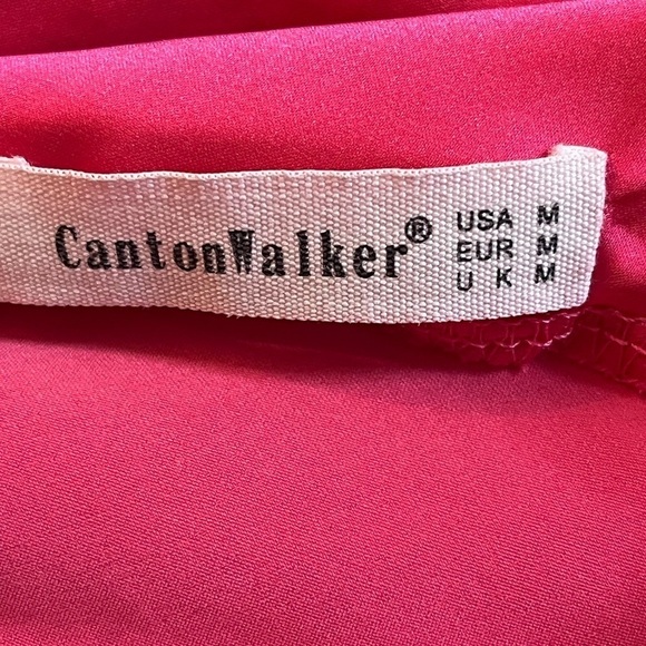 Cantonwalker Women's Sz M Cowl Neck Halterneck Slip On Backless Satin Mini Dress - Picture 9 of 9